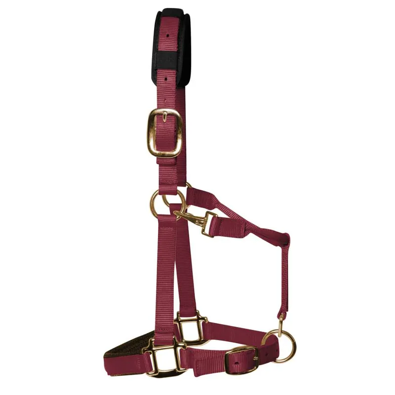 KM Elite Padded Headcollar Burgandy
